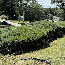 Overgrown-Hedge-PruningTrimming-Weeding-in-Coventry-RI 3